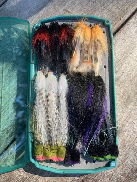 saltwater fly fishing - fly fishing magazine - tail fly fishing magazine