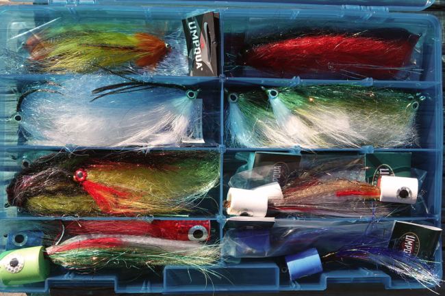 saltwater fly fishing - fly fishing magazine - tail fly fishing magazine