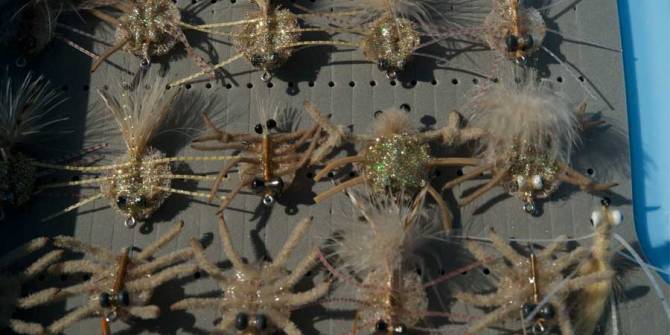 saltwater fly fishing