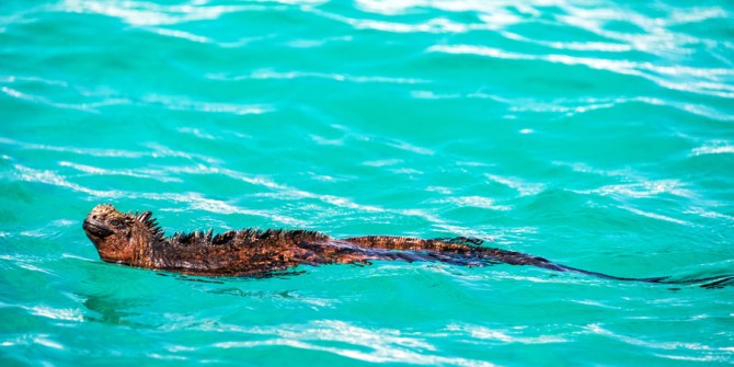 saltwater fly fishing - Capt Scott Hamilton's tale in tail fly fishing magazine - A guides Life.