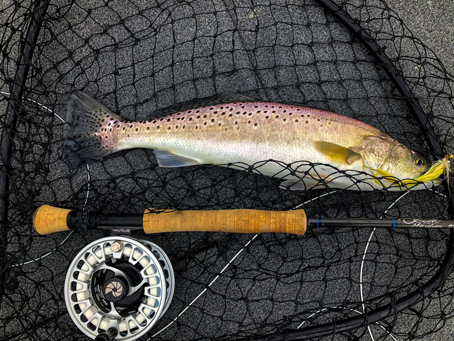 speckled trout on fly in tail fly fishing magazine - the only fly fishing magazine dedicated to fly fishing in saltwater