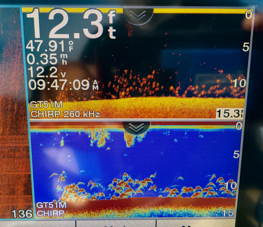 speckled trout on fly in tail fly fishing magazine - the only fly fishing magazine dedicated to fly fishing in saltwater