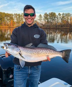 speckled trout on fly in tail fly fishing magazine - the only fly fishing magazine dedicated to fly fishing in saltwater