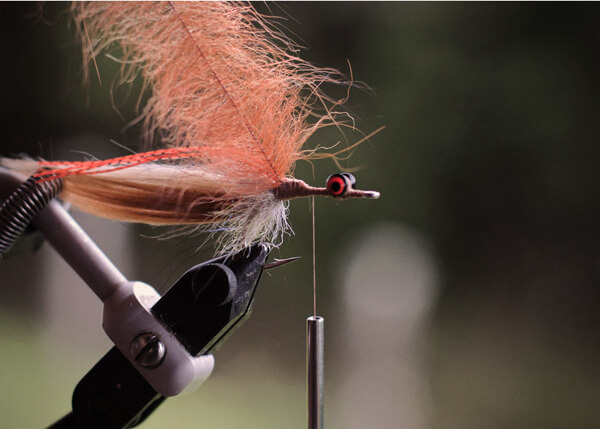 fly tying in tail fly fishing magazine - the voice of saltwater fly fishing - fly tying for saltwater flies