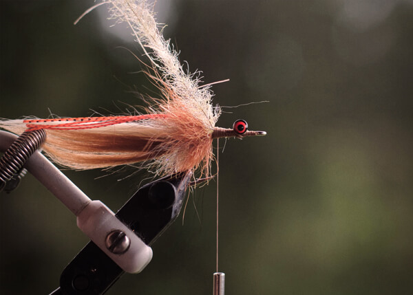 fly tying in tail fly fishing magazine - the voice of saltwater fly fishing - fly tying for saltwater flies