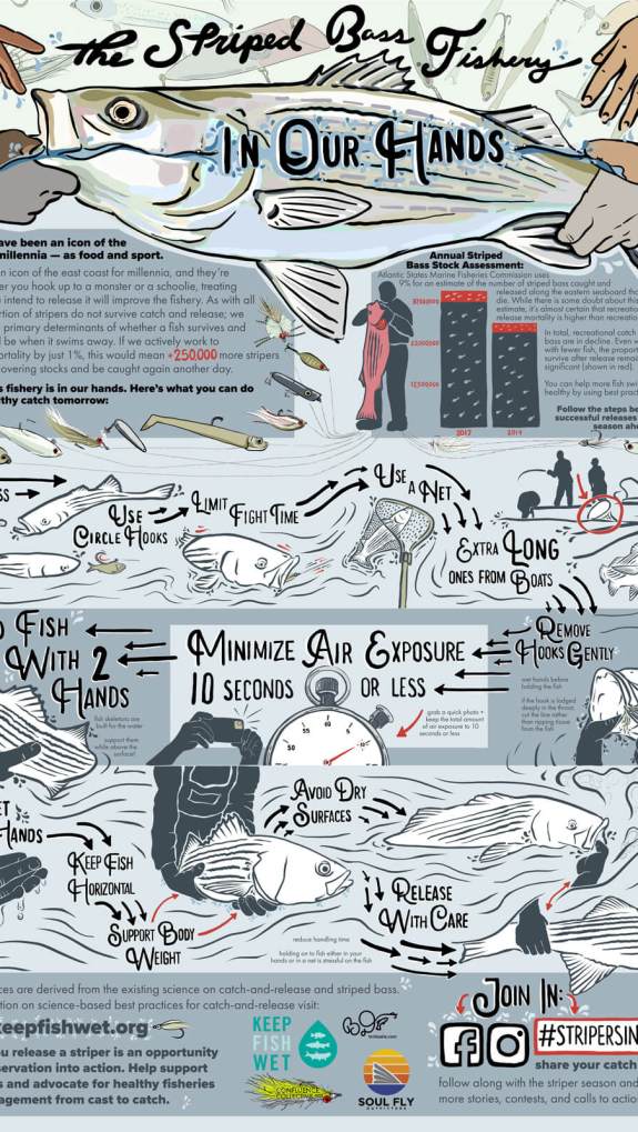 saltwater fly fishing