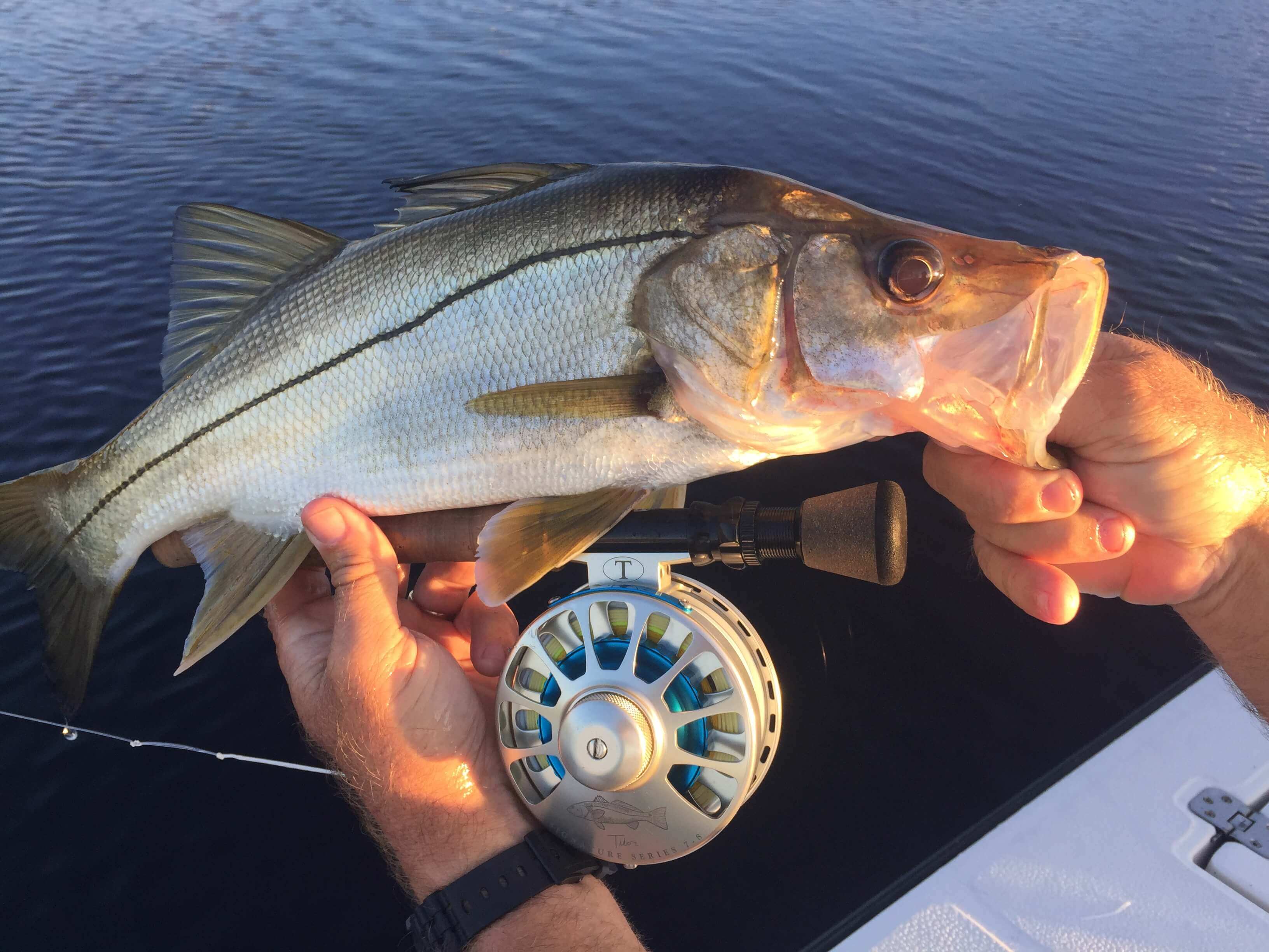 Amazing Autumn Fly Fishing