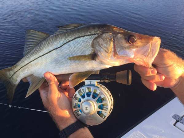 Tail Fly Fishing Magazine - Amazing Autumn Fly Fishing - Pete Barrett - fly fishing historian