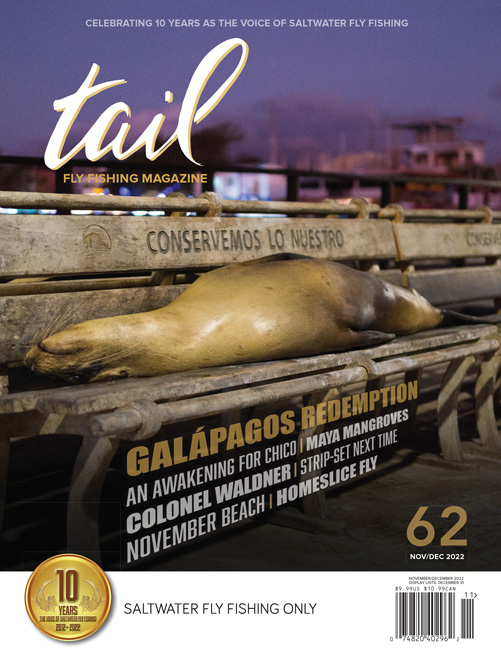 saltwater fly fishing