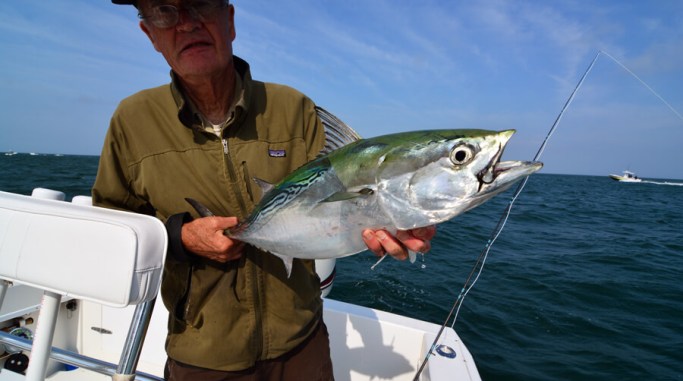 fly fishing magazine - tail fly fishing magazine