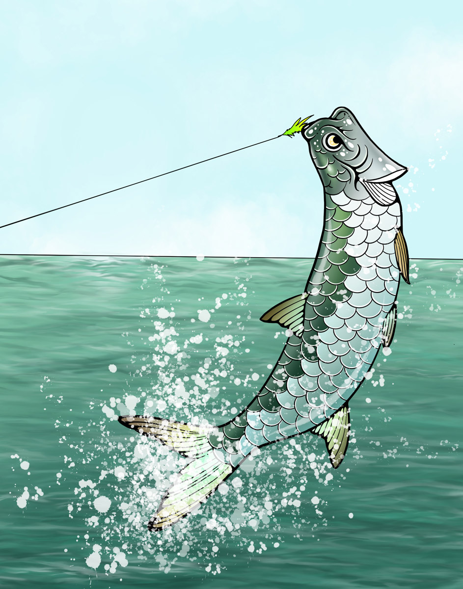 saltwater fly fishing