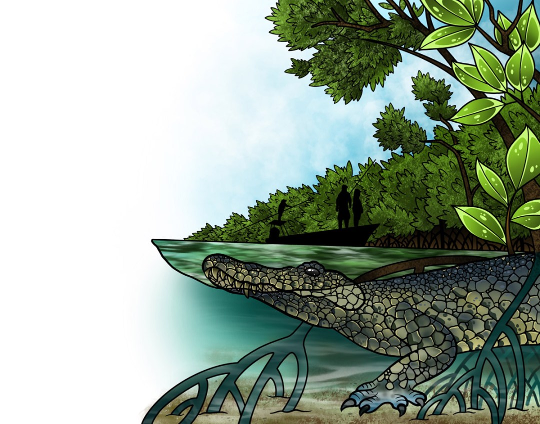 saltwater fly fishing