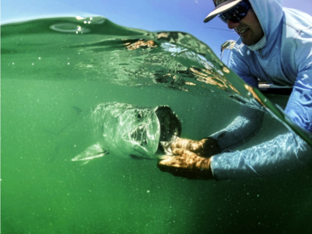 tarpon underwater with angler above water - saltwater fly fishing for tarpon and how to photograph them