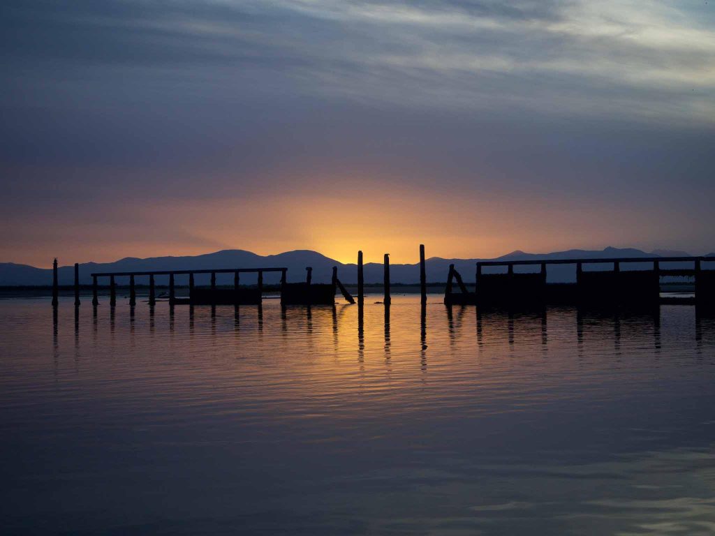 Tail Fly Fishing Magazine