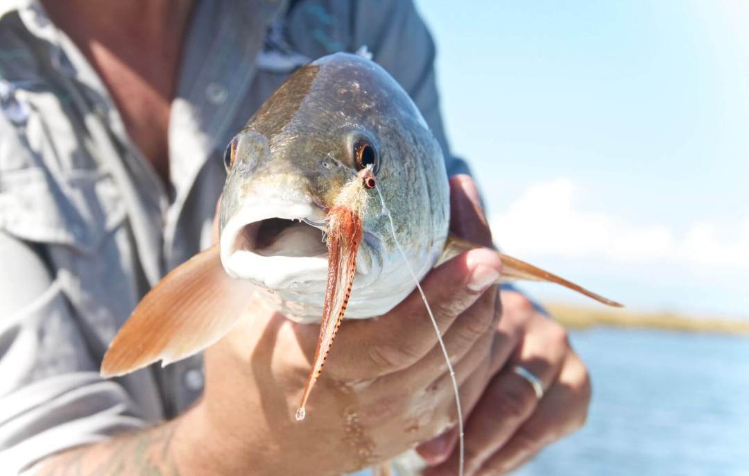 fly tying in tail fly fishing magazine - the voice of saltwater fly fishing - fly tying for saltwater flies