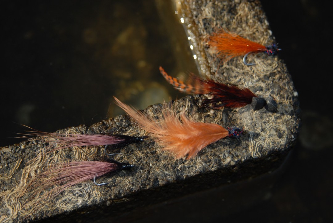 cinder worm hatch for striped bass