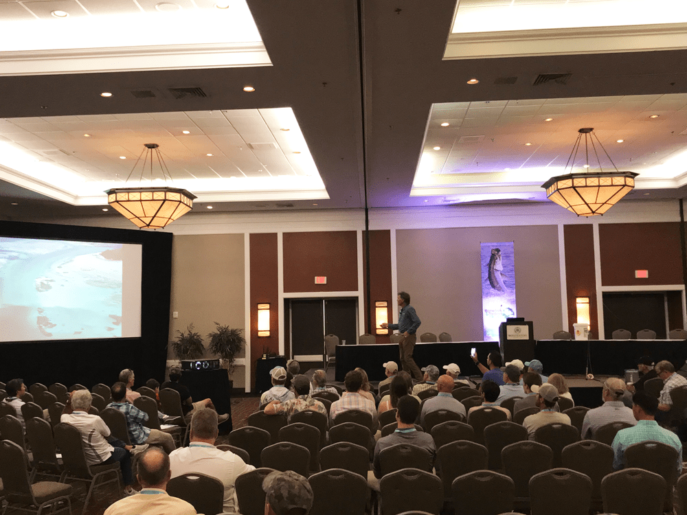 fly fishing magazine - saltwater fly fishing magazine - tail fly fishing magazine