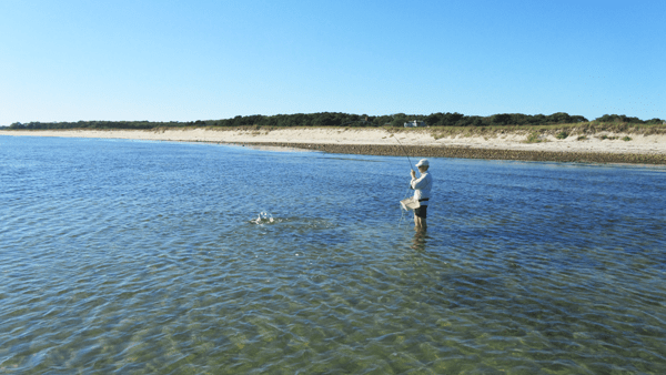 fly fishing magazine - saltwater fly fishing