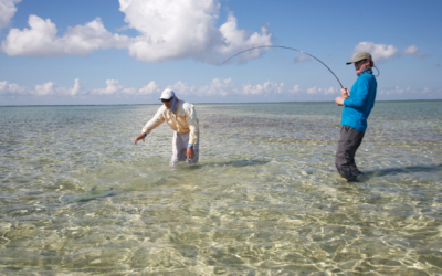 fly fishing magazine - saltwater fly fishing magazine - permit on fly