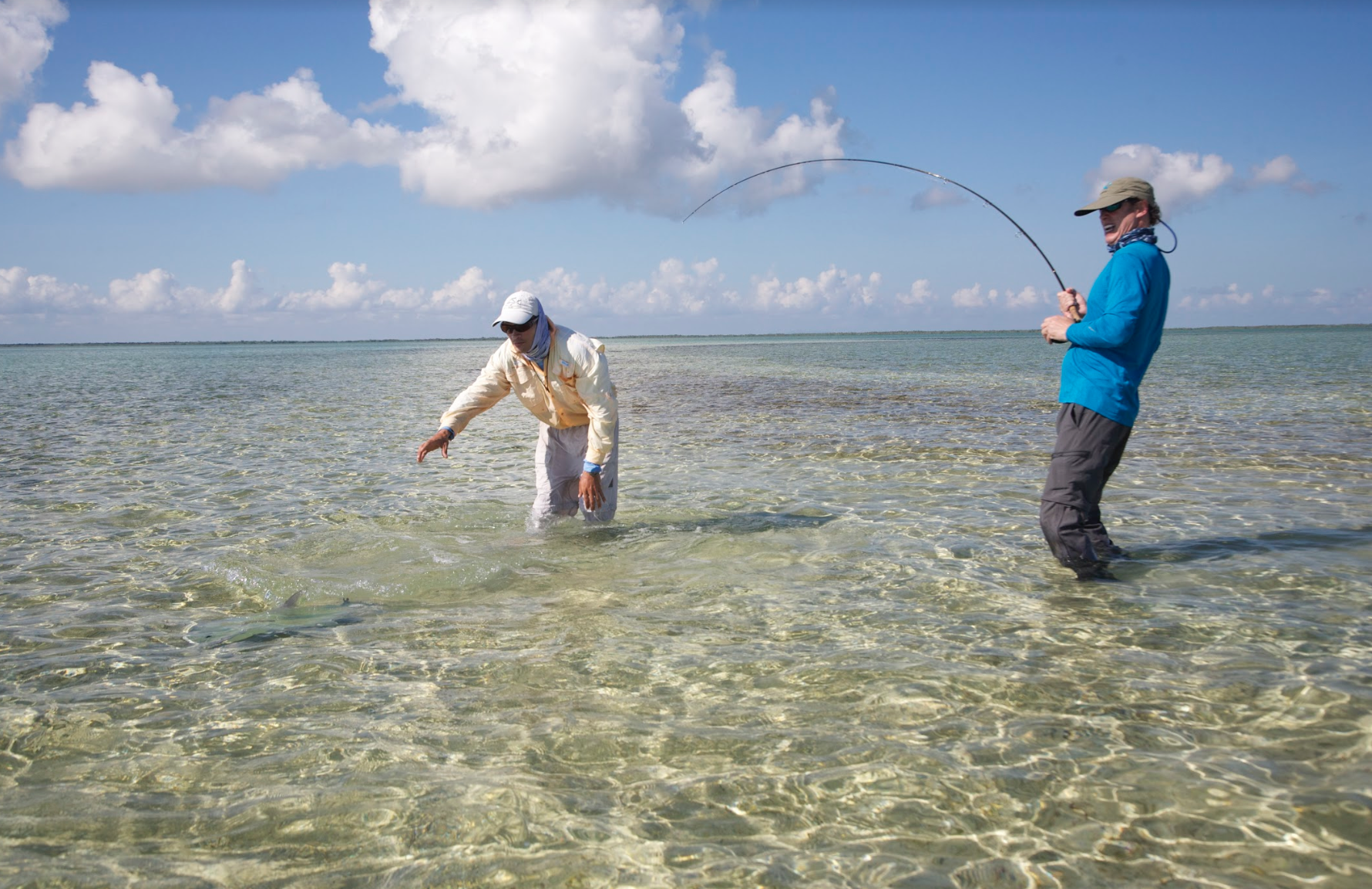 A Passion for Permit by Jonathan Olch