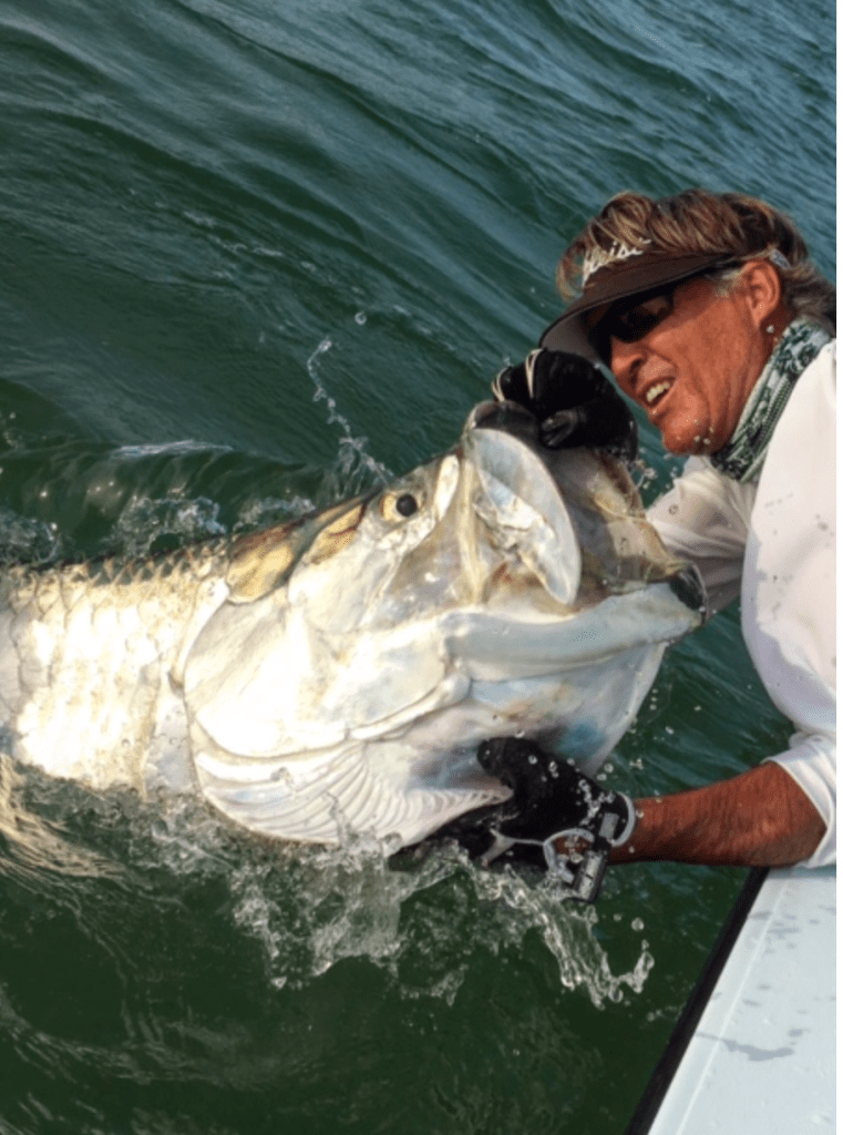 Andy Mill - Tarpon