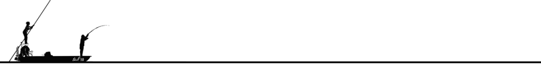 saltwater fly fishing