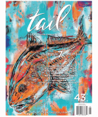 tail fly fishing magazine is saltwater fly fishing